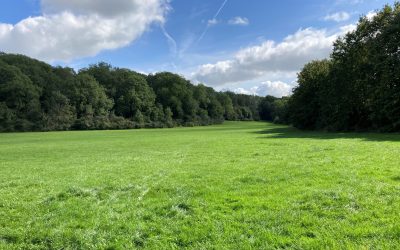 Ash dieback works at Wapley Bushes from 18th September