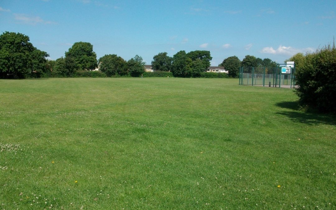 View of QEII Playing Fields from the Kelston Close entrance - a green field lined with green trees, a blue sky overhead.